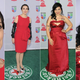 Illustration for article titled Big Smiles, Big Boobs and Shitloads of Sequins at the Latin Grammys